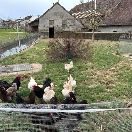 Maison Au Sein D'Une Ferme Villa Rahling Dış mekan fotoğraf