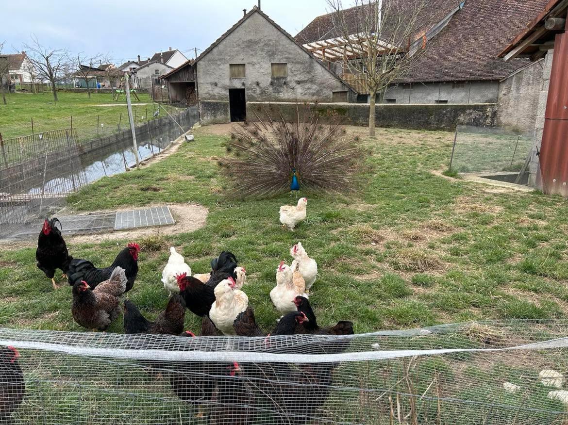 Maison Au Sein D'Une Ferme Villa Rahling Dış mekan fotoğraf