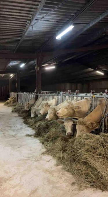 Maison Au Sein D'Une Ferme Villa Rahling Dış mekan fotoğraf