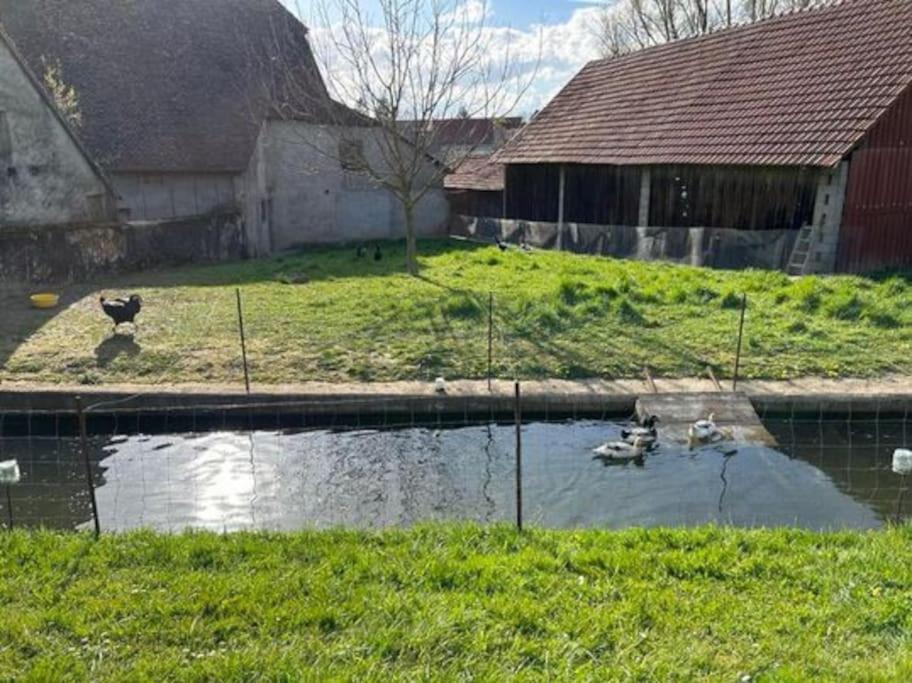 Maison Au Sein D'Une Ferme Villa Rahling Dış mekan fotoğraf